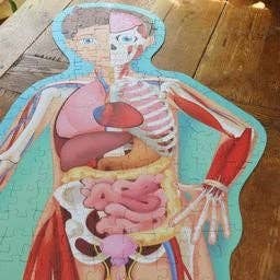 Sassi Travel, Learn and Explore The Human Body 200 pc Puzzle