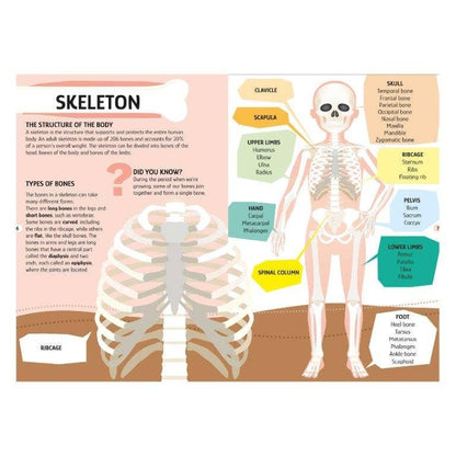 Sassi Travel, Learn and Explore The Human Body 200 pc Puzzle